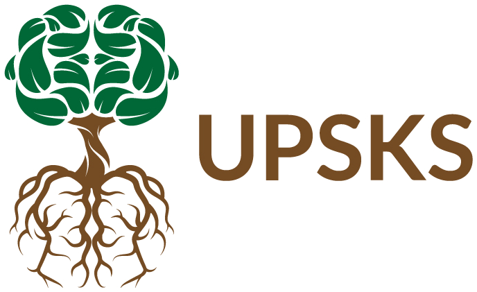 First version